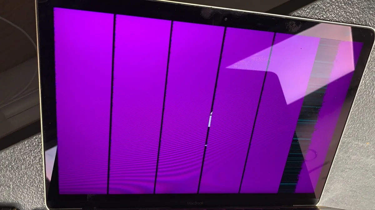 Schermo di un MacBook Pro con bande rosa e nere verticali